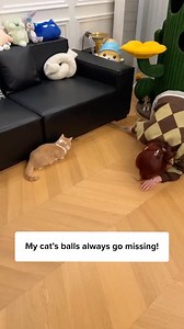 40K views · 25 reactions | The BALL that never gets stuck朗 Comment “Balls” and I’ll DM the  to you instantly! Or simply search Smart Ball Cat Toy on our site ✨ | Cuddles & Meow | Facebook