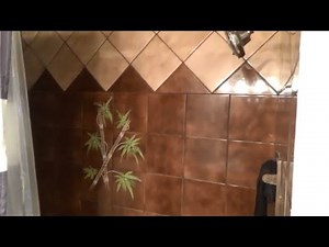 Beautiful Vintage Shower