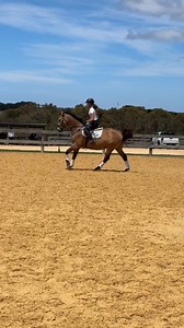 23K views · 43 reactions | $5000 BUYS THIS HORSE THIS WEEK - MUST...