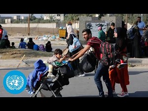 UN News in Brief (17 November 2023) | United Nations