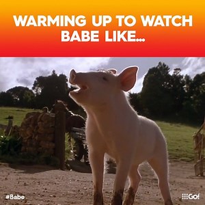 We've got the kids sorted with #Babe, today 5.10pm on 9Go! | Channel 9