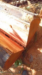 5.3K views · 68 reactions | Muting Pro on Reels | Facebook