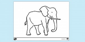 Elephant Outline Colouring Page
