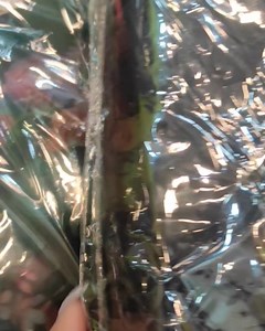 #Todaysmenu #withexcitingoffers | RONG BERONG