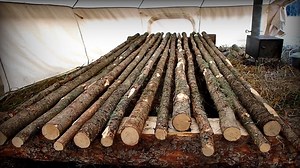 45 reactions | Life of a Woodsman - Log Bed Frame. #SoloCamping #BuildingSurvivalShelter #CampingChallenge #adventures #wilderness #forest | Hampton Bushcraft | Facebook