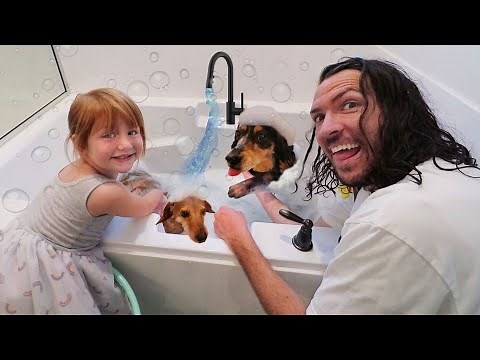 MY DOGS 🐶 PET SPA!! Adley cleans her dogs morning routine for New UNiCORN CATCH App Reviews Movie