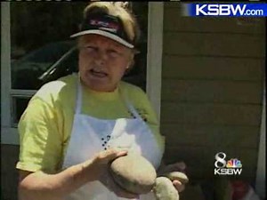 Video May Hold Key To Catching Santa Cruz Co. Vandals