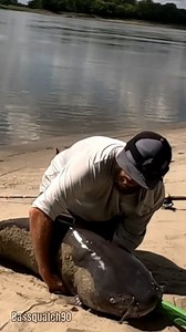 Catch Of A Lifetime 💯🎣 Fins Pro Gear Promo Code: staywild #catfishing #fypシ #rivermonsters #trendingreels #PersonalBest #bluecatfish #outdoors #beastmode #bankfishing #Missouri #bassquatch90 #fishingadventures #staywild | Bassquatch90
