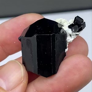 Tourmaline schorl and albite from Erongo (Namibia), size: 3.7 cm, price: $45 ( shipping fee). We ship worldwide. Please DM to claim or get more details. To see more of our minerals visit www.SpiriferMinerals.com 12141 #spiriferminerals #spirifer #mineralcollecting #mineralspecimen #mineralcollection #rockhounding #rockhound #minerals #mineral #rocks #rock #fineminerals #hyalite #opal #tourmaline #shorl #erongo #mineralogy #geology #nature #smokyquartz #quartz | Spirifer Minerals