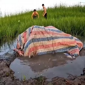 Amazing catch a Fish in a strange pit. | Nancy Blaq