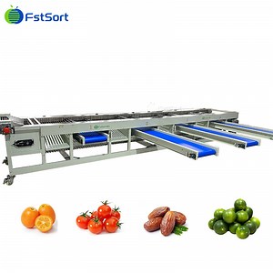 [Hot Item] Efficient Cherry Tomato Size Sorting and Packaging Equipment Fruit Grading Packing Line