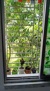 my cactus family #plants #cactus #homedecor #balconygarden #garden #minivlog #ceramic #treending