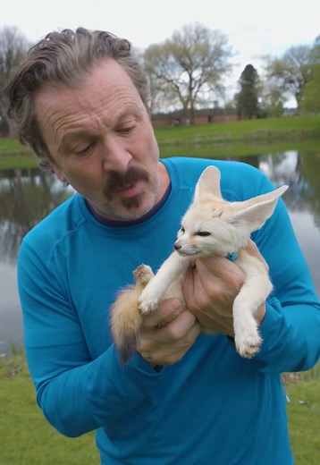 Kissing the Smallest Canine: Fennec Fox Close-Up