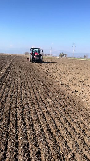 Yusuf Arpaç TikTok'ta