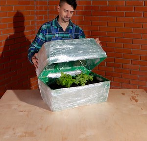 33K views · 70 reactions | Backyard Bliss: Essential Tips For A Vibrant Garden! | 5-Minute Crafts Teens | Facebook