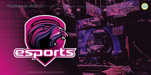 Accelerator – 8 fonts, a Sans Serif Font by reneverkaart