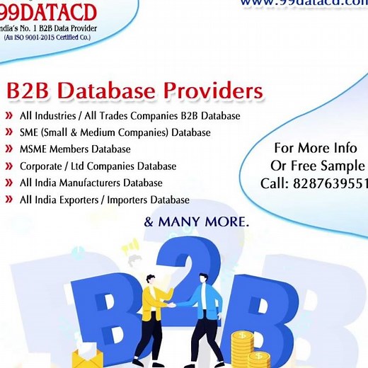 B2B Database Providers | 99Data