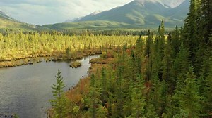 Aerial view of the Vermilion Lakes near Banff, Canada.