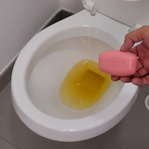 2M views · 19K reactions | Put some soap in the toilet box and you’ll thank me forever | Too Yummy | Facebook