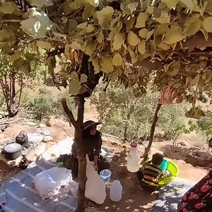 18K views · 980 reactions | Cooking traditional nomadic bread by women and bathing the baby in the father'sarms in the mountains. | Family Cooking | Facebook