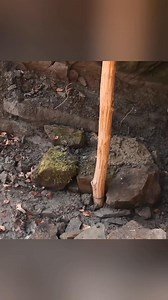 10K views · 107 reactions | Build a House Out of Wood, Stone and Clay #bushcraft #camp #camping #survival #shelter #wildlife #outdoors #outdoor #viral #fyp #foryou | Connor Adams | Facebook