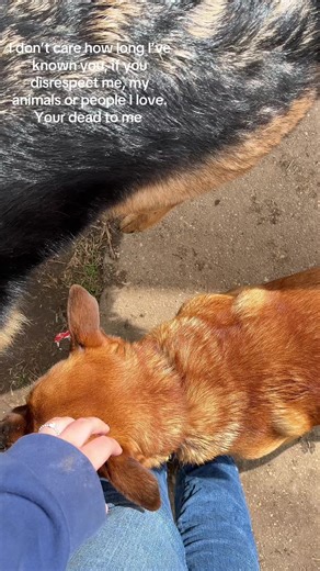 My babies 🥰🫶🏽💕