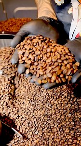 ✨ Café de las montañas. $240 Gesha y Marsellesa Precio especial a mayoristas. | Café de las Montañas.