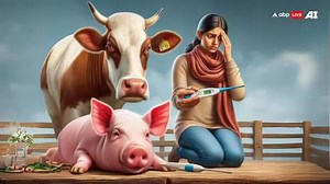 Malta Fever: ਲਗਾਤਾਰ ਵਧਦਾ ਜਾ ਰਿਹਾ ਹੈ ਮਾਲਟਾ ਬੁਖਾਰ ਦਾ ਖਤਰਾ, ਜਾਣੋ ਕੀ ਹਨ ਇਸ ਬੀਮਾਰੀ ਦੇ ਲੱਛਣ ਅਤੇ ਕਿਵੇਂ ਕਰੀਏ ਬਚਾਅ