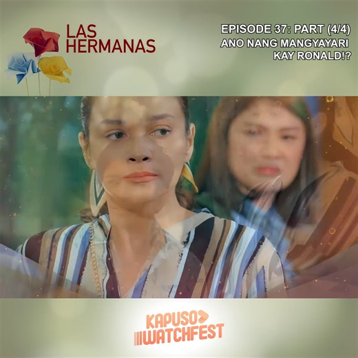 Las Hermanas follows the Manansala sisters—Dorothy, Minnie, and Scarlet—as they face life's challenges together. After the death of their father, Fernando, their family loses its fortune and is torn apart by scandal. Dorothy, the eldest, strives to keep her sisters' lives stable, while Minnie, fueled by vengeance, seeks to ruin their dreams. Meanwhile, Scarlet, driven by ambition, will stop at nothing to achieve her goals. Their bond is further tested when they cross paths with businessman Loren