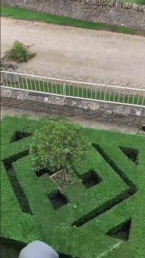 This garden looks like a dream now 😱 #shorts #music #entertainment com.miui.home #truedialogue