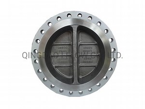 [Hot Item] China Dual Plate Double Door Wafer Butterfly Check Valve