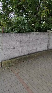 1.9K views · 19 reactions | Komplet mikina + džíny 癩 www.ellen-fashion.cz | Ellenfashion | Facebook