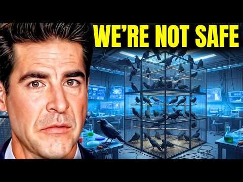 AI “Translated” Crow Sounds… and Scientists Were Not Ready for The Results