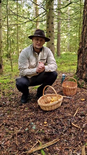 21K views · 592 reactions | Din nou in padure!! #asmrcooking #forrager #hribi #mushroom #ciuperci #hrib #galbiori #boletus #amanita | Calin Copolovici | Facebook