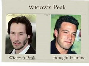 Genetics Packet- Virtual Genetics Lab