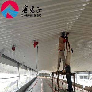 [Hot Item] Long Span Prefab Poultry Farming Steel Structure Chicken Farm Building