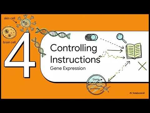 From DNA to Traits: Molecular Genetics & Human Inheritance Simplified