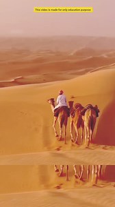 Knowledge adda Hindi on Reels