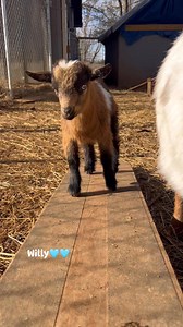 Lord them piercing blue eyes!! 💙 | Country Girl Adventures
