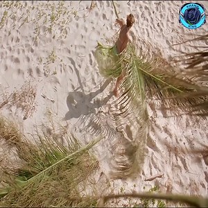 535K views · 8K reactions | She turned the corner—and met tomorrow. #ThrillerTrend #DarkScene #MysteryEdge #WatchNow | Domestic Shop.com.mm | Facebook