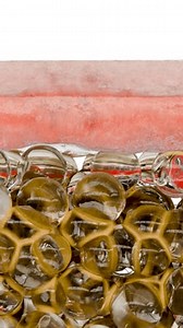 Gewichtsverlust Vergleich. Transformation des menschlichen Körpers.: Stockvideos & Filmmaterial (100 % lizenzfrei) 3983540199 | Shutterstock