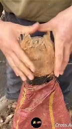 8.4M views · 120K reactions | kabhi aapne ye baat socha hai !...