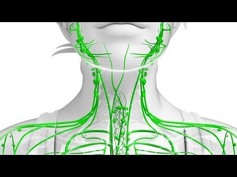 Signs Of A Clogged Lymphatic System And 10 Ways To Cleanse It