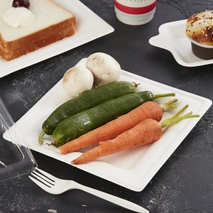 [Hot Item] 10" Square Plate 100% Biodegradable and Disposable Fod Packaging Plate