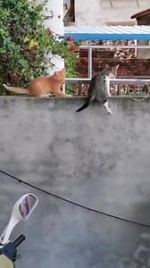 24K views · 1K reactions | Marvel Memes on Reels | Facebook