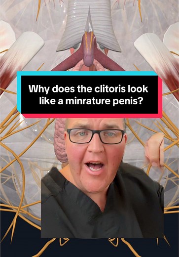 Understanding the Anatomy of the Clitoris