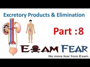 Biology Excretory Products & Elimination part 8 (Nephron : Renal tubule, Cortical) CBSE class 11 XI