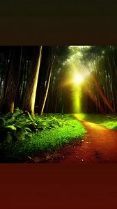 18K views · 1.1K reactions | www.realrootsradio.net Real Roots Radio  #reggae #dub | 퐑퐞퐚퐥 퐑퐨퐨퐭퐬 | Facebook