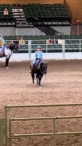 Join us at the Iowa Horse Fair presented by the Iowa Horse Council! March 22-24, 2024 3000 E Grand Ave, Des Moines, IA 50317 Don't miss the chance to meet Del and Shevawn Shields along with their incredible staff! Catch them in action as they film and present at the 2024 Iowa Horse Fair. Stop by their booth, and get a photo together! 📸🐴 See you there! 🎥Video Credit: Paint of a Different Color #IowaHorseFair #EquestrianExperience #MarkYourCalendar #horselovers #Iowahorsepeople | Best of Americ