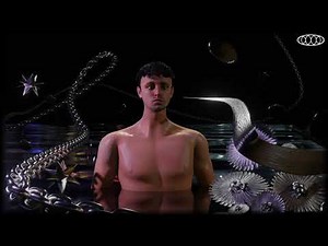 Daisy Chain Visualizer